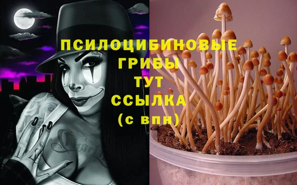 метамфетамин Аркадак
