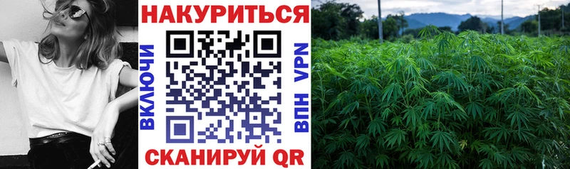 Канабис ГИДРОПОН  Радужный 